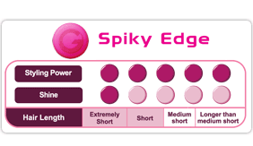 hs-spi-pic02.gif