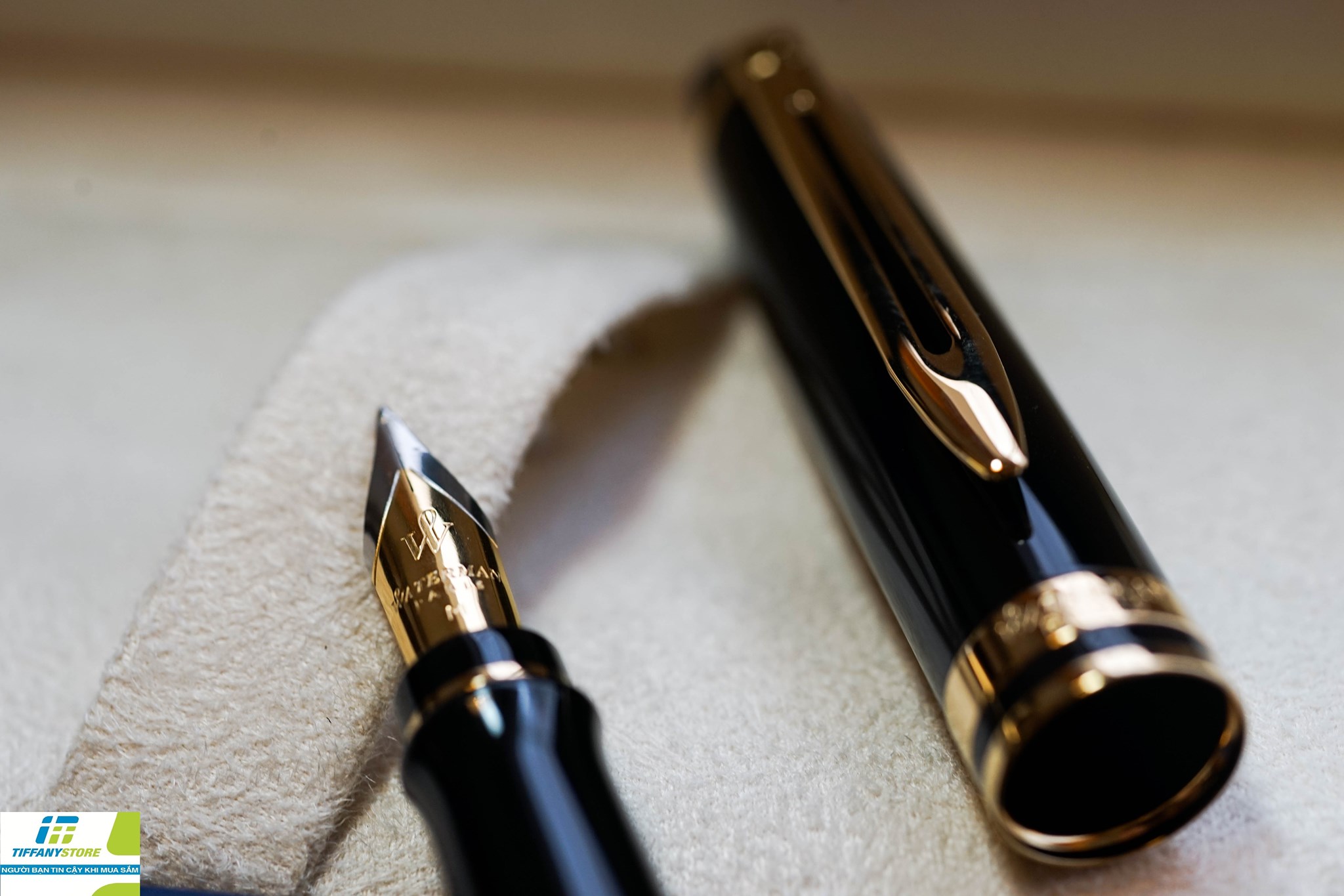 Waterman Expert Gold Trim Fountain Pen